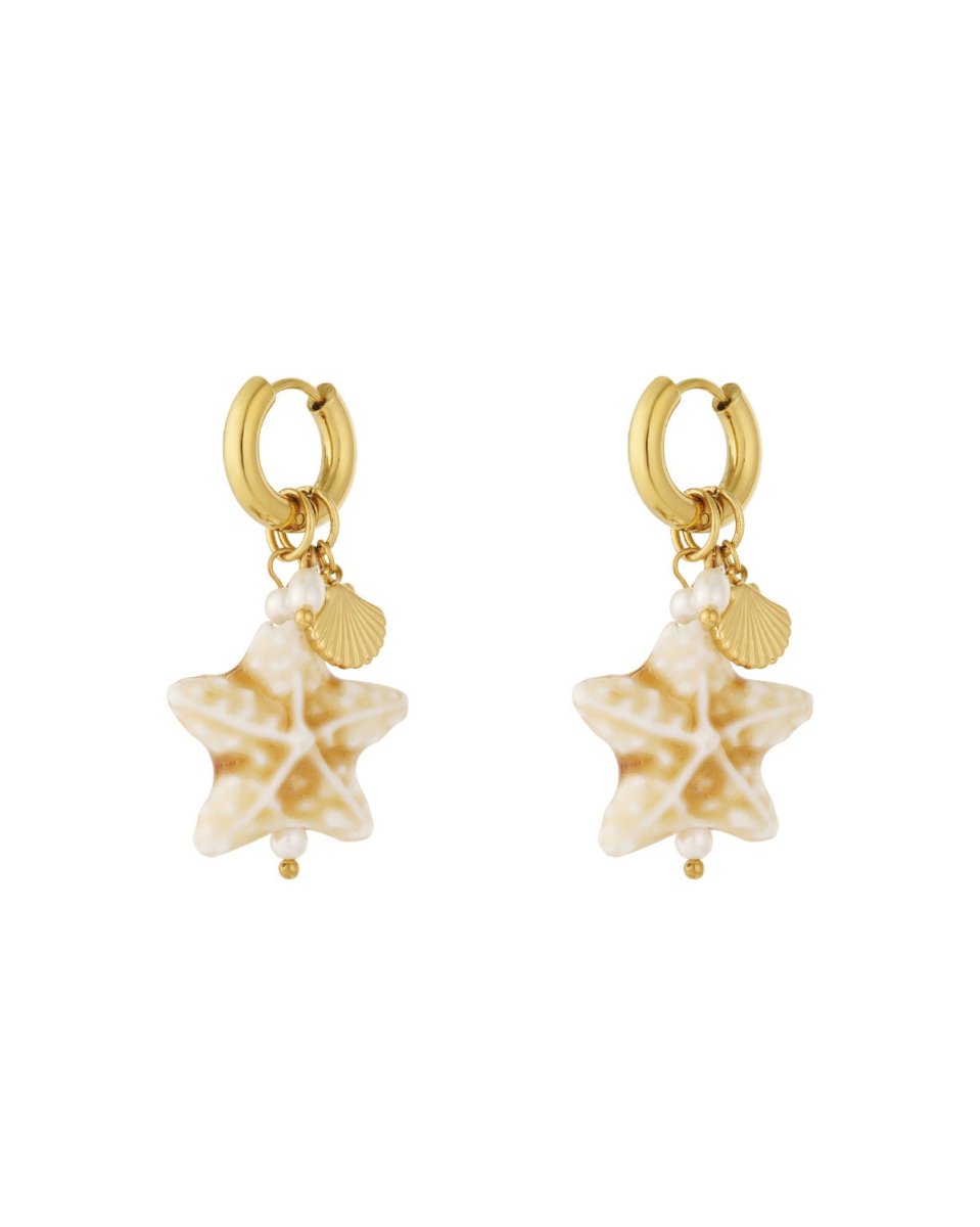 Sea Star - Stainless Steel Earrings - Mevotti