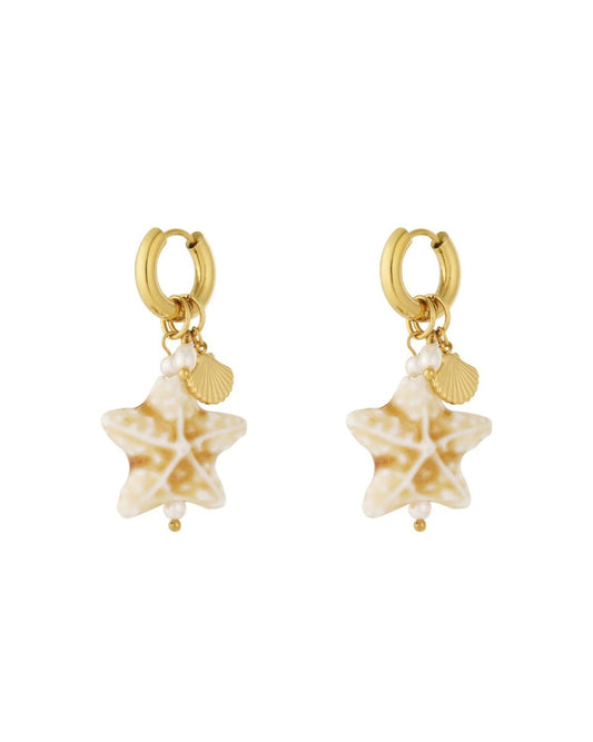 Sea Star - Stainless Steel Earrings - Mevotti